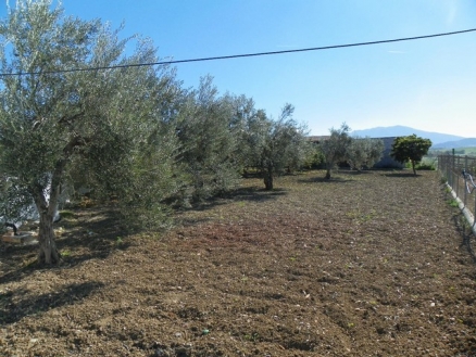 Coin property: Coin Villa 189398