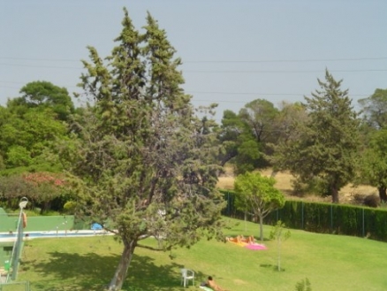 Aloha property: Apartment in Malaga for sale 189461