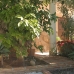 Alhaurin El Grande property: Beautiful Villa for sale in Alhaurin El Grande 189494
