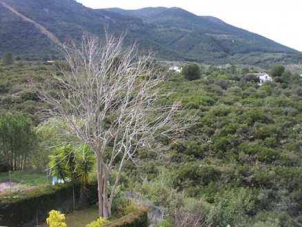 Alhaurin El Grande property: Townhome with 3 bedroom in Alhaurin El Grande 189669