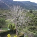 Alhaurin El Grande property: 3 bedroom Townhome in Alhaurin El Grande, Spain 189669