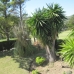 Estepona property: Malaga Apartment, Spain 189703