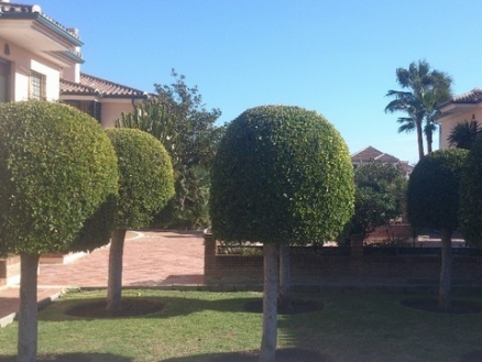 San Pedro de Alcantara property: Apartment for sale in San Pedro de Alcantara 189720