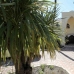 El Paraiso property: Villa for sale in El Paraiso 189845
