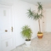 Benalmadena Costa property: Apartment in Benalmadena Costa 189932