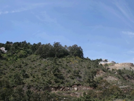 El Madronal property: Land for sale in El Madronal 189981