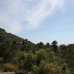 El Madronal property: El Madronal, Spain Land 189981