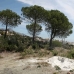 Benahavis&nbsp;property:&nbsp;Land&nbsp;for&nbsp;sale&nbsp;in&nbsp;Benahavis&nbsp;189982