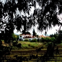 Jimena De La Frontera property: Villa for sale in Jimena De La Frontera 190090