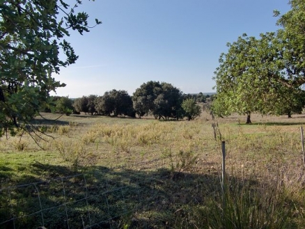 Land&nbsp;for&nbsp;sale&nbsp;in&nbsp;town&nbsp;190205