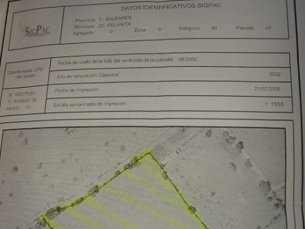 Son&nbsp;Macia&nbsp;property:&nbsp;Land&nbsp;for&nbsp;sale&nbsp;in&nbsp;Son&nbsp;Macia&nbsp;190206