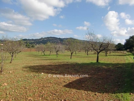 Land&nbsp;for&nbsp;sale&nbsp;in&nbsp;town&nbsp;190208