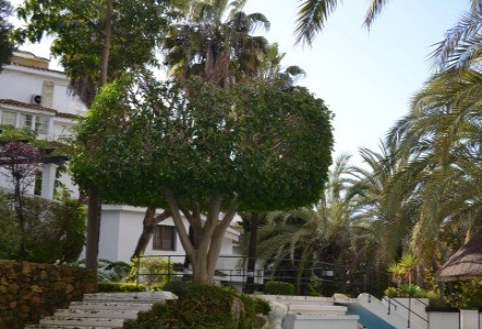 Las Chapas De Marbella property: Apartment for sale in Las Chapas De Marbella, Spain 190215