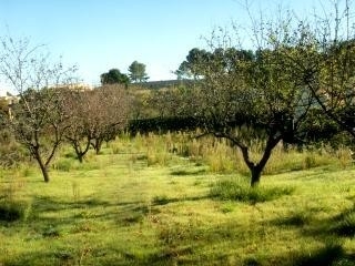 Ontinyent&nbsp;property:&nbsp;Valencia&nbsp;Villa&nbsp;195565