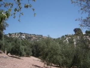 Villanueva&nbsp;De&nbsp;Algaidas&nbsp;property:&nbsp;Villa&nbsp;in&nbsp;Malaga&nbsp;for&nbsp;sale&nbsp;197125