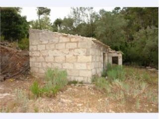 Land&nbsp;for&nbsp;sale&nbsp;in&nbsp;town&nbsp;197488