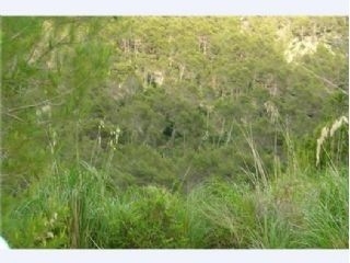 Land&nbsp;with&nbsp;bedroom&nbsp;in&nbsp;town&nbsp;197488