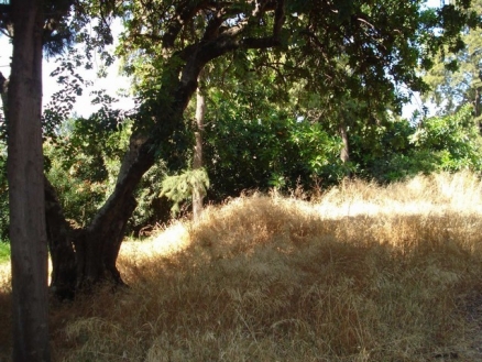 Guadalmina&nbsp;Alta&nbsp;property:&nbsp;Land&nbsp;for&nbsp;sale&nbsp;in&nbsp;Guadalmina&nbsp;Alta&nbsp;197573