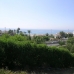 Torrenueva&nbsp;property:&nbsp;bedroom&nbsp;Land&nbsp;in&nbsp;Malaga&nbsp;198031