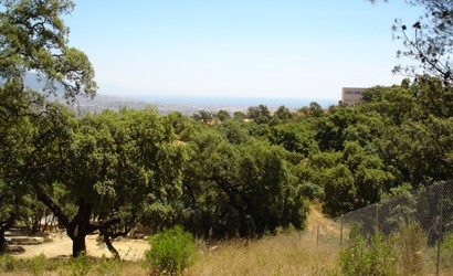 Land&nbsp;for&nbsp;sale&nbsp;in&nbsp;town&nbsp;198259