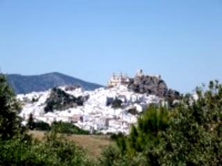 Olvera property: Land for sale in Olvera 198948