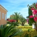 Els Poblets property: Villa in Els Poblets 199018