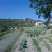 Beautiful Villa for sale in province 202121