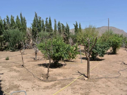 Villa with 3 bedroom in town, Spain 202128