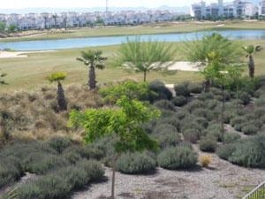 Roldan&nbsp;property:&nbsp;Townhome&nbsp;for&nbsp;sale&nbsp;in&nbsp;Roldan,&nbsp;Spain&nbsp;202918