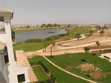 Sucina&nbsp;property:&nbsp;Apartment&nbsp;with&nbsp;2&nbsp;bedroom&nbsp;in&nbsp;Sucina,&nbsp;Spain&nbsp;202978