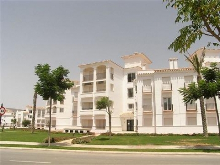 Sucina&nbsp;property:&nbsp;Apartment&nbsp;for&nbsp;sale&nbsp;in&nbsp;Sucina&nbsp;202980