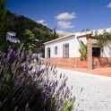 Villa for sale in town 203276