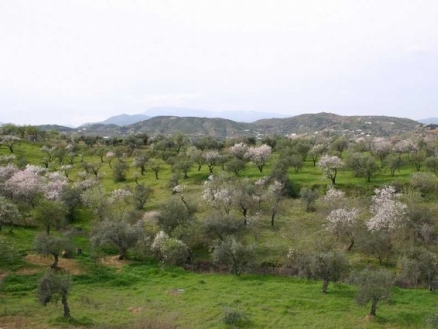 Monda property: Monda, Spain | Villa for sale 203522