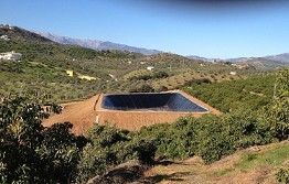 Coin property: Malaga Land 203560