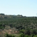 Coin property: Malaga Land, Spain 203560