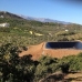 Coin property: Beautiful Land for sale in Coin 203560