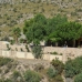 town, Spain Villa 208424