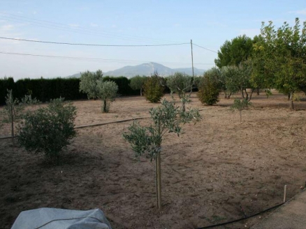  3 bedroom Villa 208426