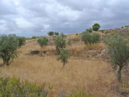 Land with bedroom in town 209440