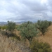 town, Spain Land 209440