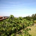 Sanxenxo property: 5 bedroom Villa in Sanxenxo, Spain 209566