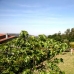 Sanxenxo property: 5 bedroom Villa in Sanxenxo, Spain 209566