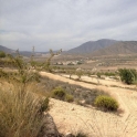 Land for sale in town 209991