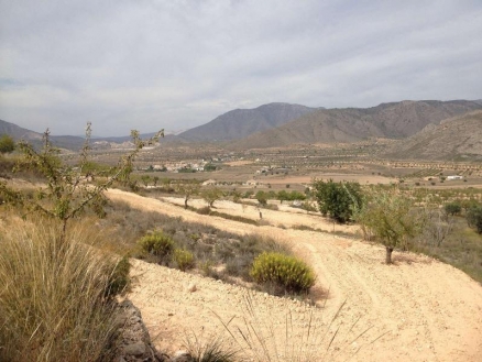 Land for sale in town 209991