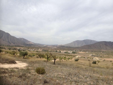 Land for sale in town,  209991