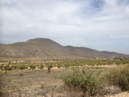 Land for sale 209991