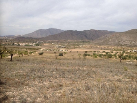 town, Spain | Land for sale 209991