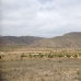 town Land, Spain 209991