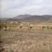 province Land, Spain 209991
