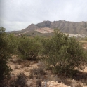 Land for sale in town 209992